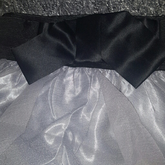 Silver Gray Organza Skirt - Picture 4 of 4