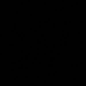 Meet your Posher, Iljana