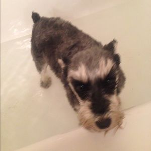 Meet your Posher, Stacey