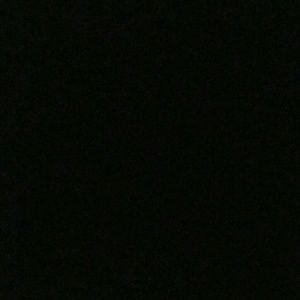 Meet your Posher, Luis