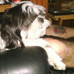 Meet your Posher, Carye