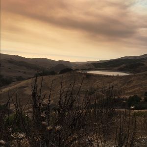 Meet your Posher, Aylin