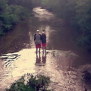 Meet your Posher, Thomas