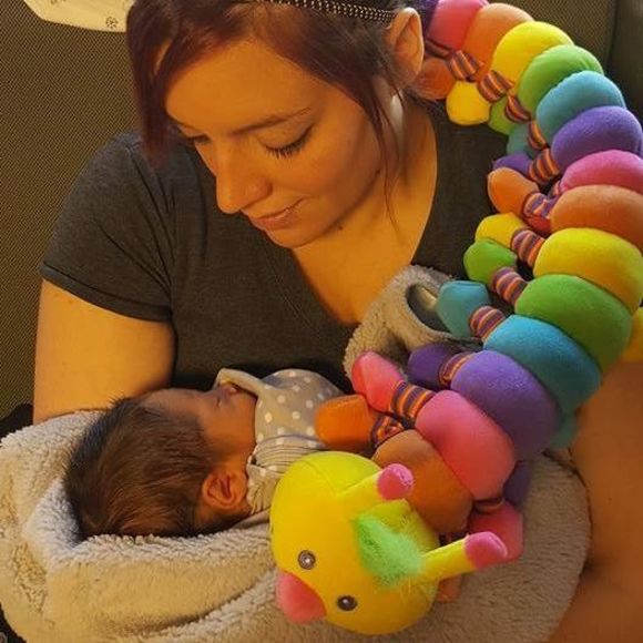 Meet your Posher, Roberto - Picture 1 of 1