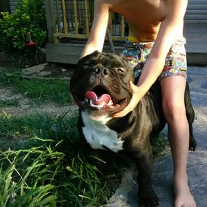 Meet your Posher, Franklin