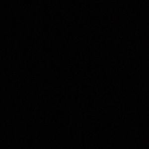 Meet your Posher, Trevor