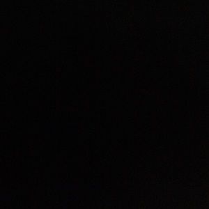 Meet your Posher, Joey