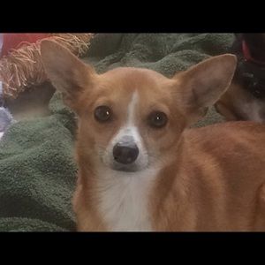 Meet your Posher, Judith