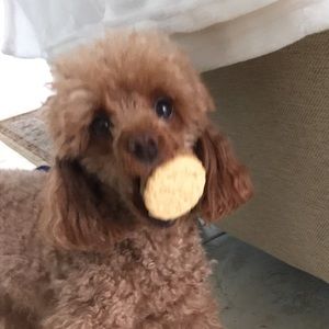 Meet your Posher, Helen