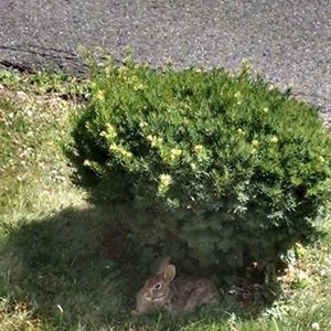 Meet your Posher, Krystine