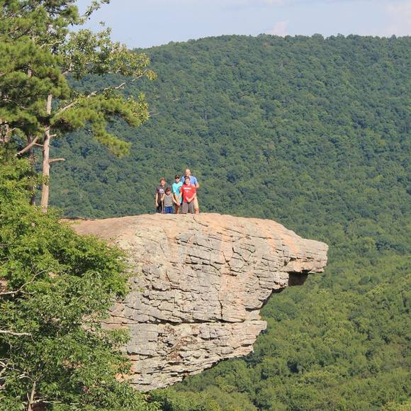 Meet your Posher, Jennifer - Picture 1 of 1