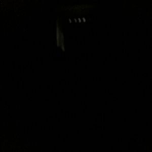 Meet your Posher, Sonya