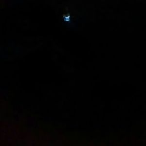 Meet your Posher, Jane