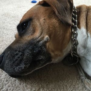 Meet your Posher, Jillian