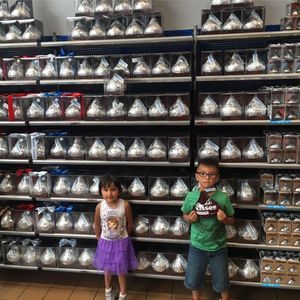 Meet your Posher, Mario