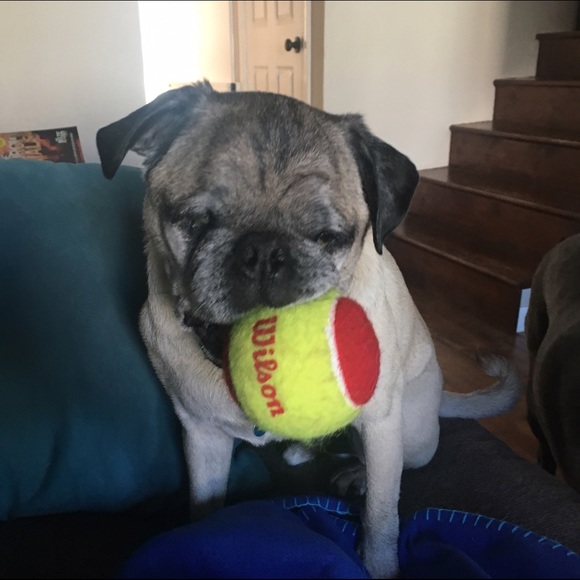 Meet your Posher, Nicole - Picture 1 of 1