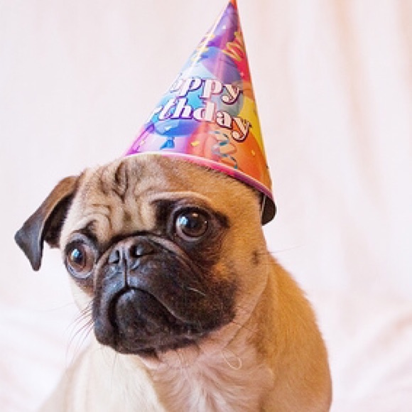 20% OFF BUNDLES TODAY! - Picture 2 of 3