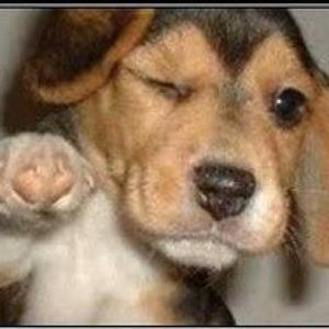 Meet your Posher, Kristy