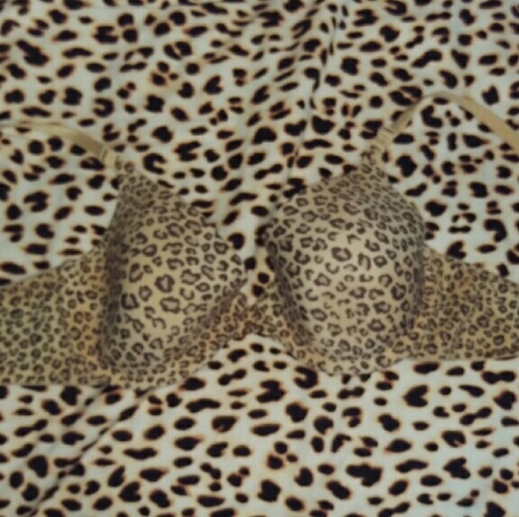 Leopard bra