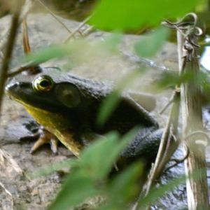 Meet your Posher, Sheri