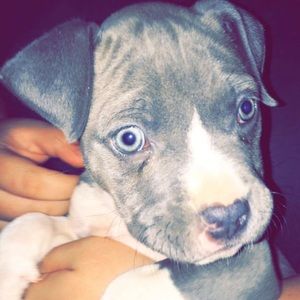 Meet your Posher, Viviana