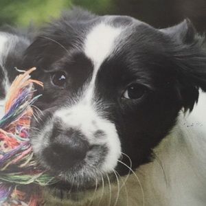 Meet your Posher, Lena