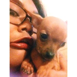 Meet your Posher, Jazmin