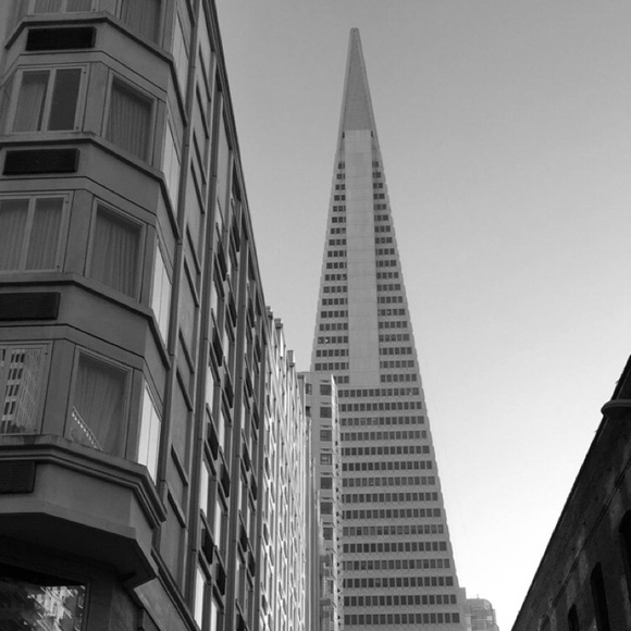 Meet the Posher ❤️ - Picture 2 of 3