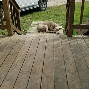 Meet your Posher, Nichole