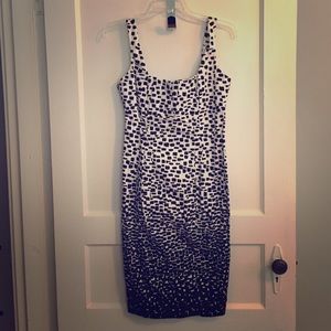 Calvin Klein black and white dress