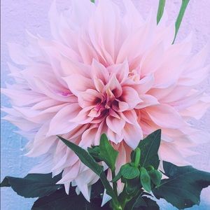 CAN SHIP UNTIL FRIDAY, CLOSET CLOSES FRIDAY!!!