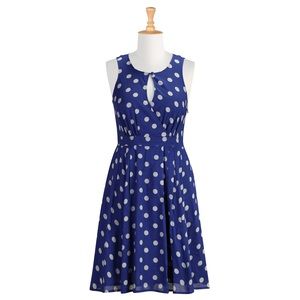 Blue Polka Dot fit and flair dress.