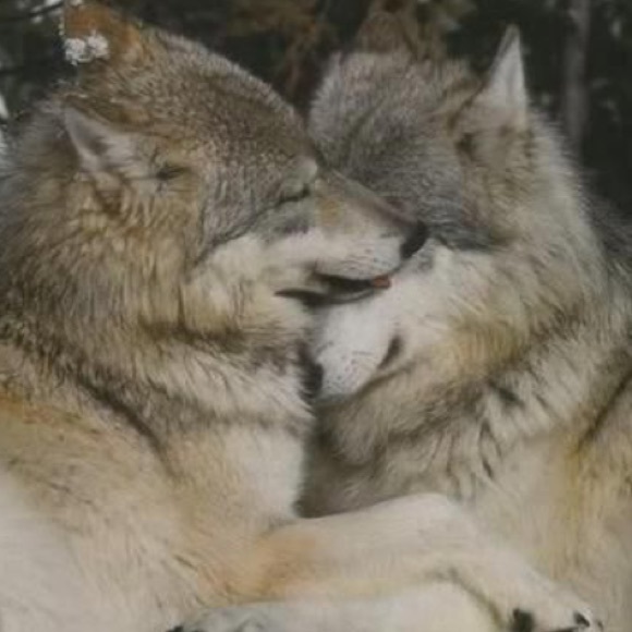 Meet your Posher, Christi