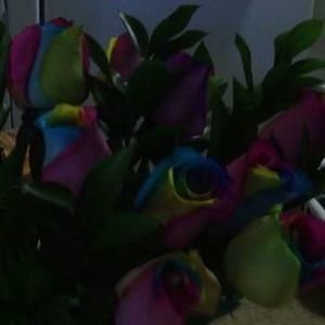 Meet your Posher, Marsha