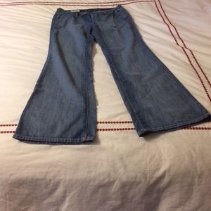 NWOT Banana Republic Classic Trouser Jean size 12