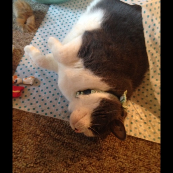 Meet your Posher, Heather