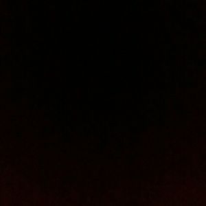 Meet your Posher, Shawn