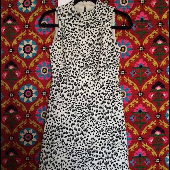 LOFT leopard shift dress