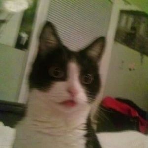 Meet your Posher, Austin