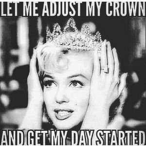 Meet your Posher, Charlotte