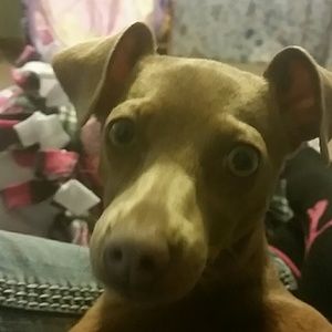 Meet your Posher, Nicole