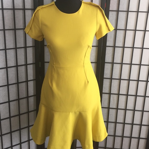 Banana Republic Dress Size 0