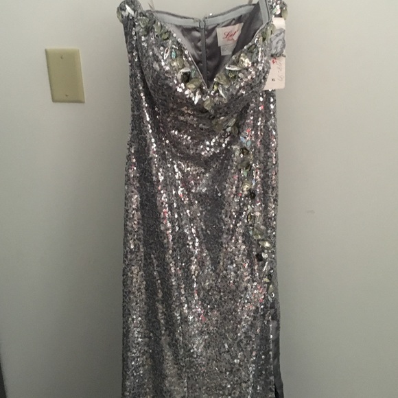 Silver dress