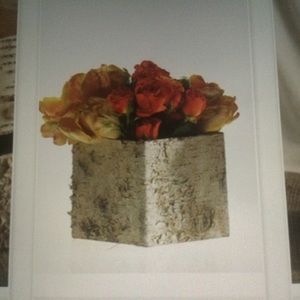 Meet your Posher, Anne