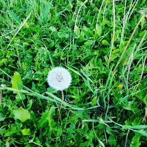 Meet your Posher, Daniela