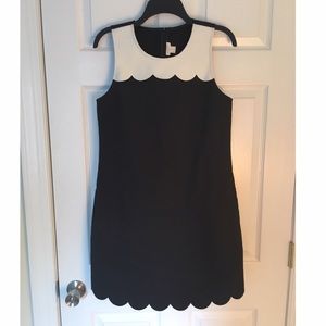 J Crew Scalloped Dress NWT