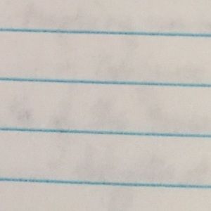 Meet your Posher, Van