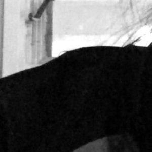 Meet your Posher, Daralynn