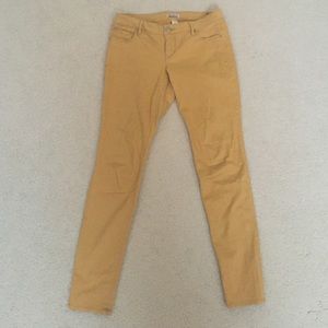 Express Mustard Pants