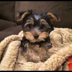 Meet your Posher, Leticia